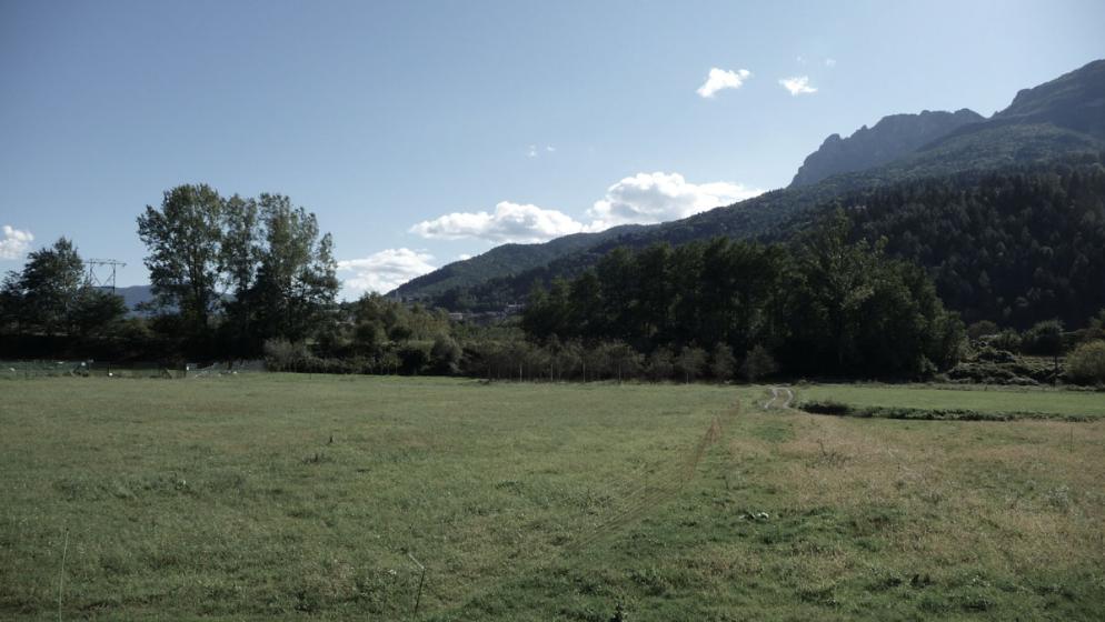 biomass cogeneration plant site view