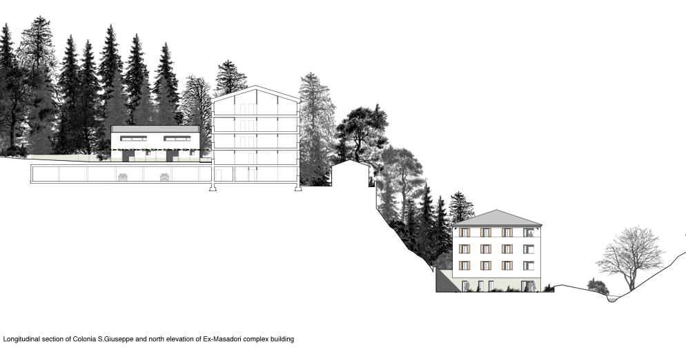 colonia masadori housing - section