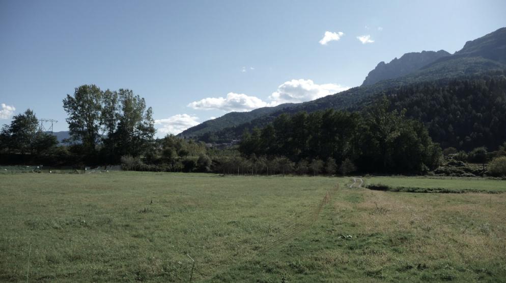 biomass cogeneration plant - site view